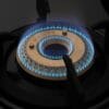 Brass Gas Burner Flaming
